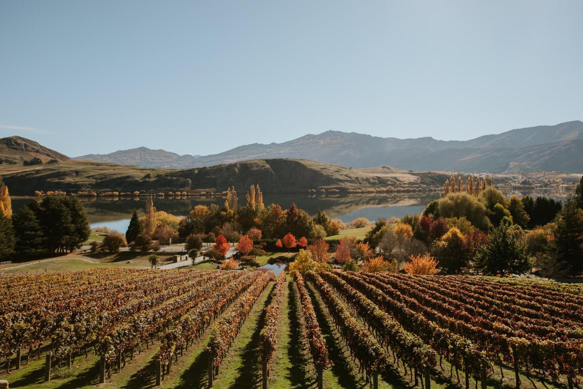 Stoneridge Estate Hotel Queenstown Buitenkant foto